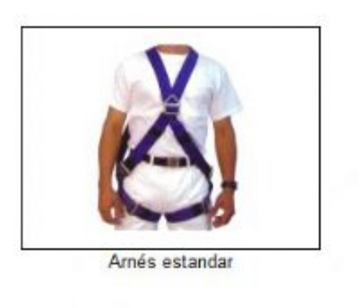 ARNES ESTANDAR
